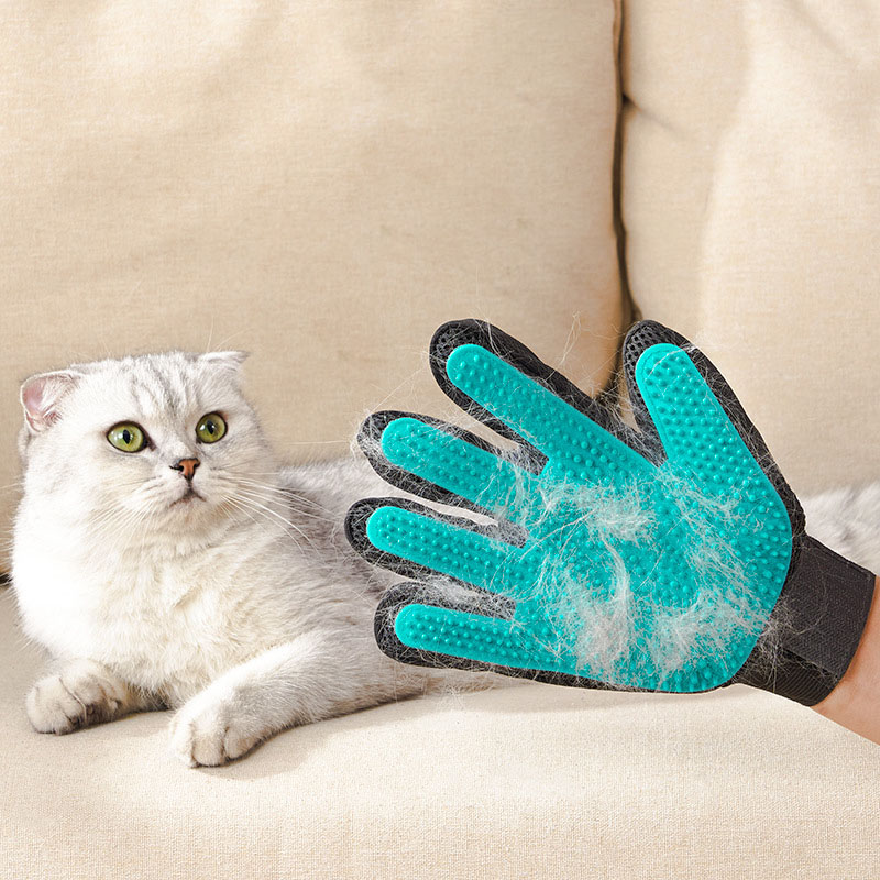Guanto per Toelettatura Animal - Rubber Glove Cleaning recensione e prezzo