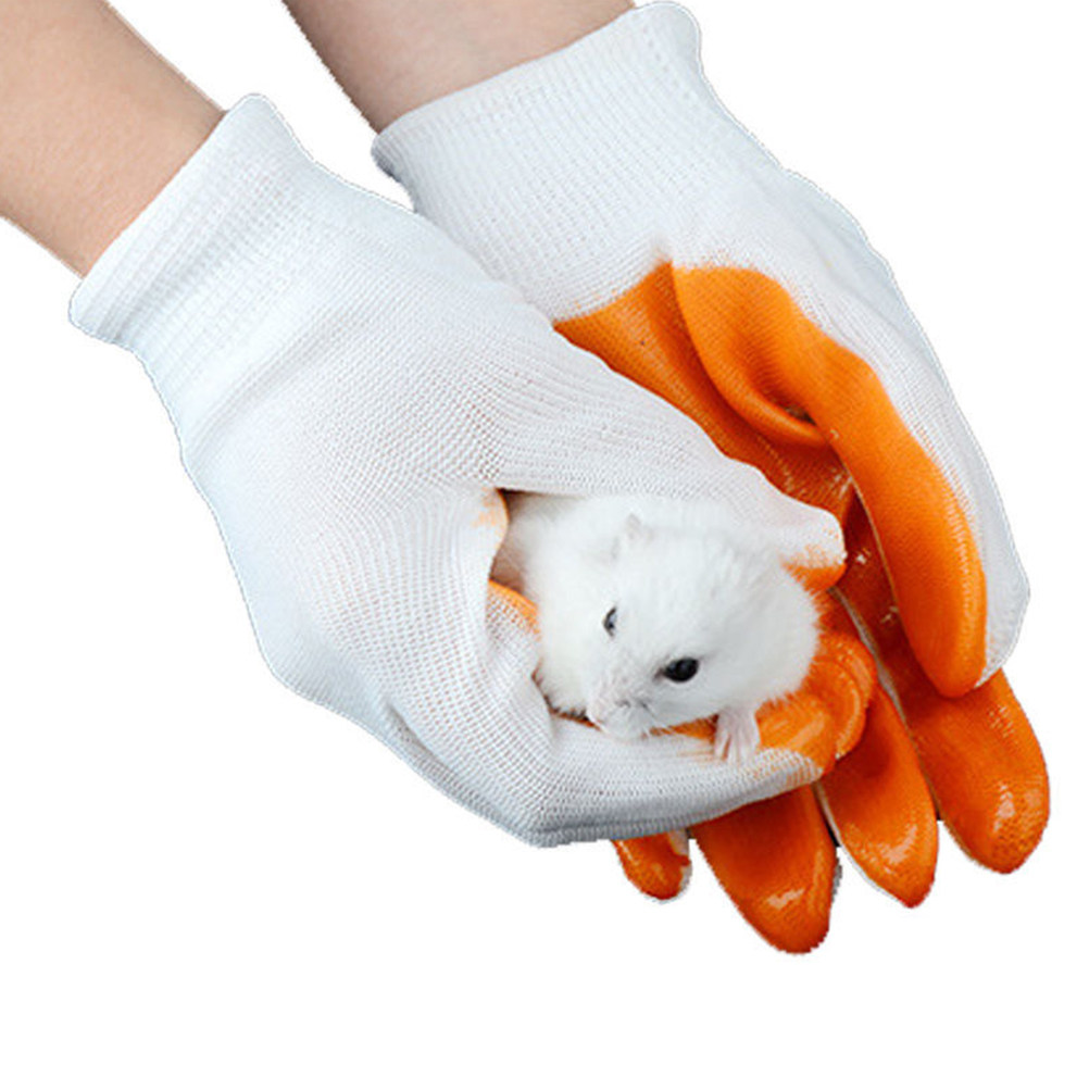 1 Paio di Guanti Protettivi pe - Cut Resistant Glove recensione e prezzo