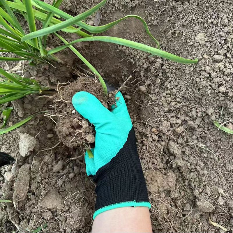 Guanti da Giardinaggio con Art - Gardening Glove Waterproof recensione e prezzo